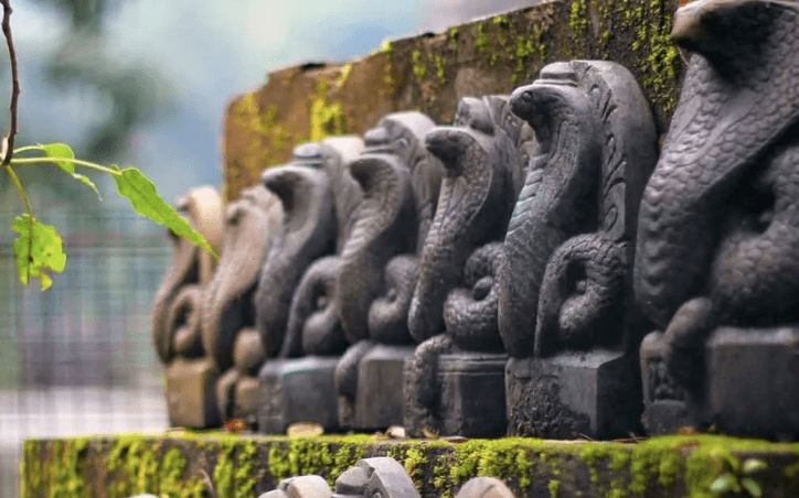 Snake village in Maharashtra