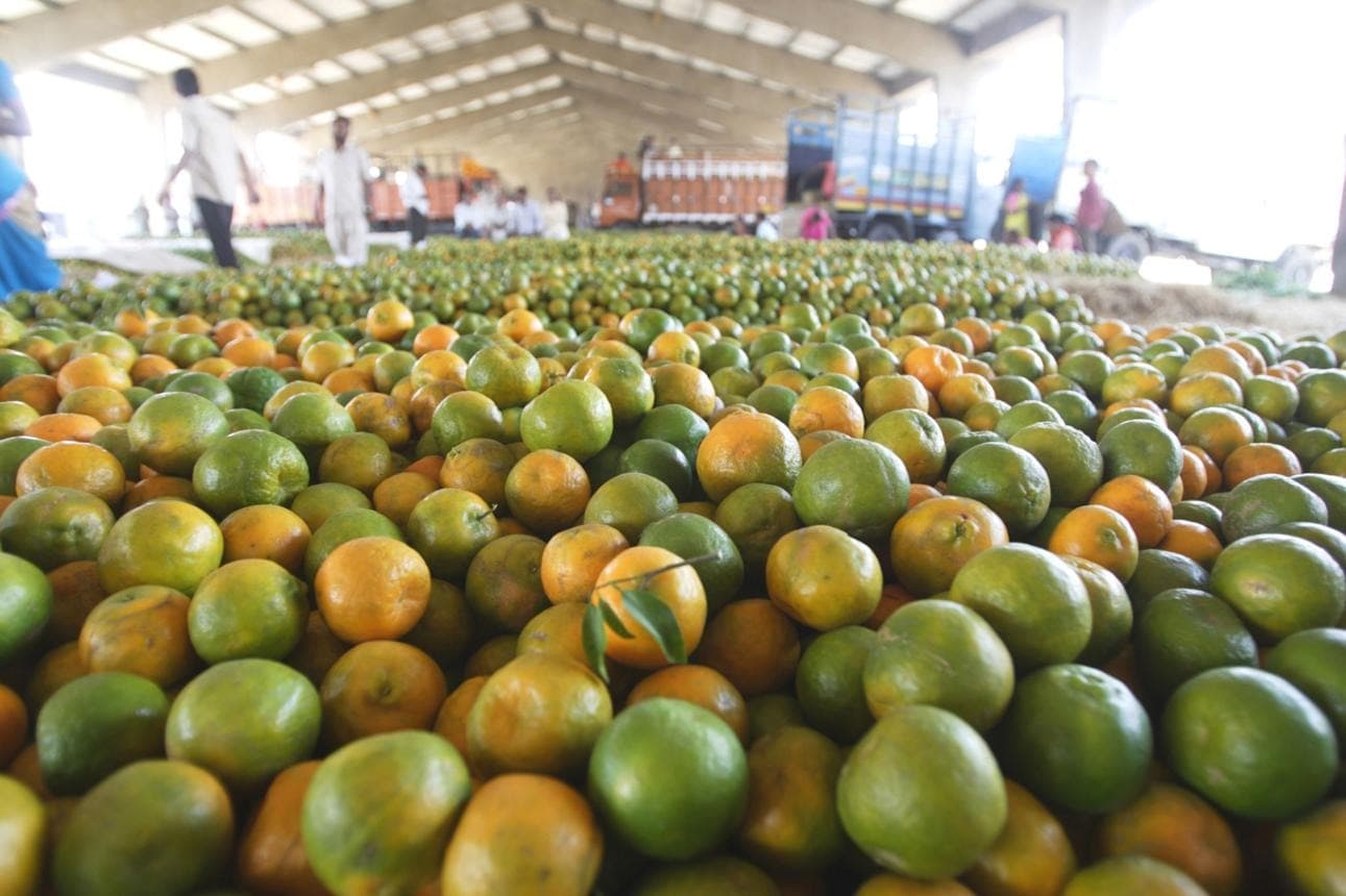 Orange City in India