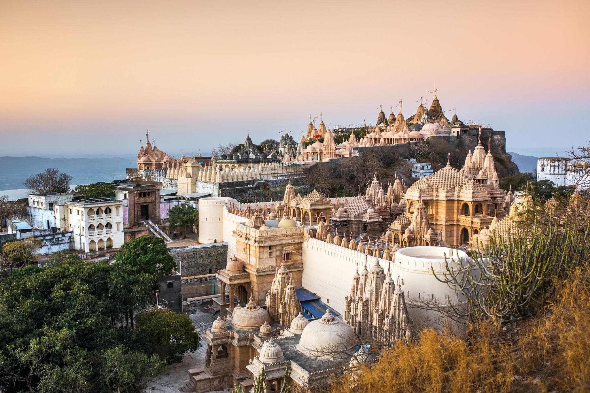 Vegetarian City in India